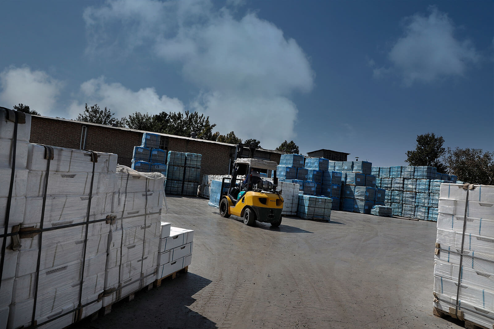 درباره شرکت طلانگار البرز